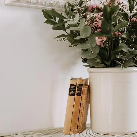 马塞里亚加拉帕乡村民宿 * 法萨诺