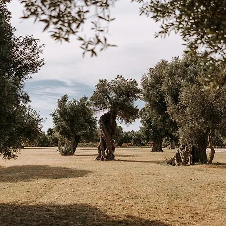 Masseria Garrappa *