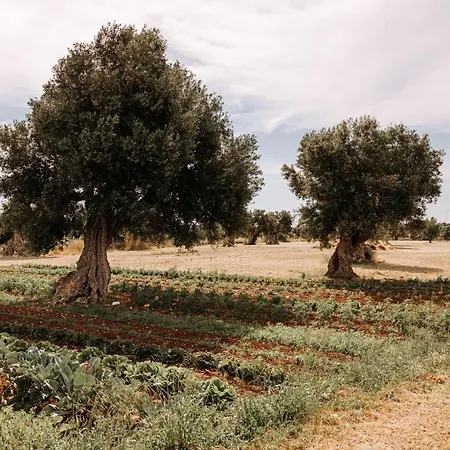 Masseria Garrappa Fasano